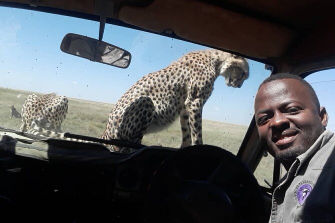5 Days Tanzania Group Joining Safari, Tarangire/Serengeti/Ngorongoro Crater - Why this five-day route works