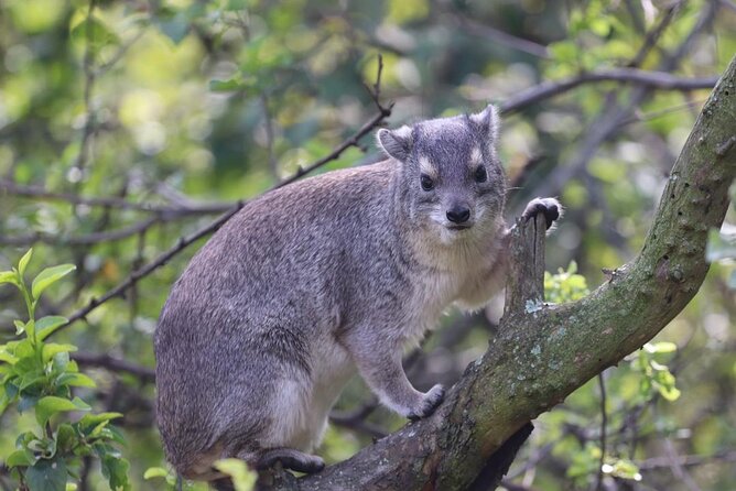 5 Days Tanzania Joining Safari with Pick Up Included Shared Tour - Why this five-day route works