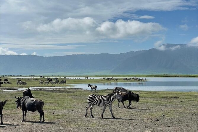 5 Days Tanzania Joining Safari with Pick Up Included Shared Tour - Camping, meals, water, and WiFi