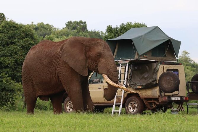 5 Days Tanzania Joining Safari with Pick Up Included Shared Tour - Day 2: The long road into the Serengeti