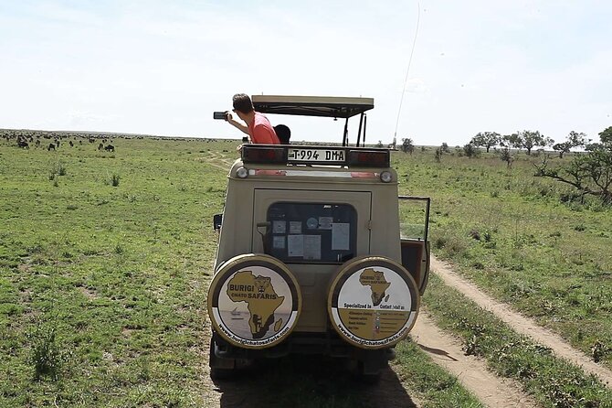 5 days Tanzania midrange lodge Private safari - Day 4: From Serengeti plains to the Ngorongoro rim
