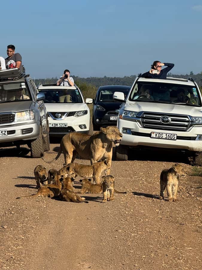 5-Hour Nairobi National Park 4x4 Safari with Free Pickup - Key points before you book