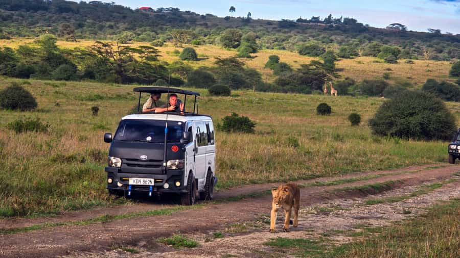 5-Hour Nairobi National Park 4x4 Safari with Free Pickup - Pickup, timing, and the shape of the day