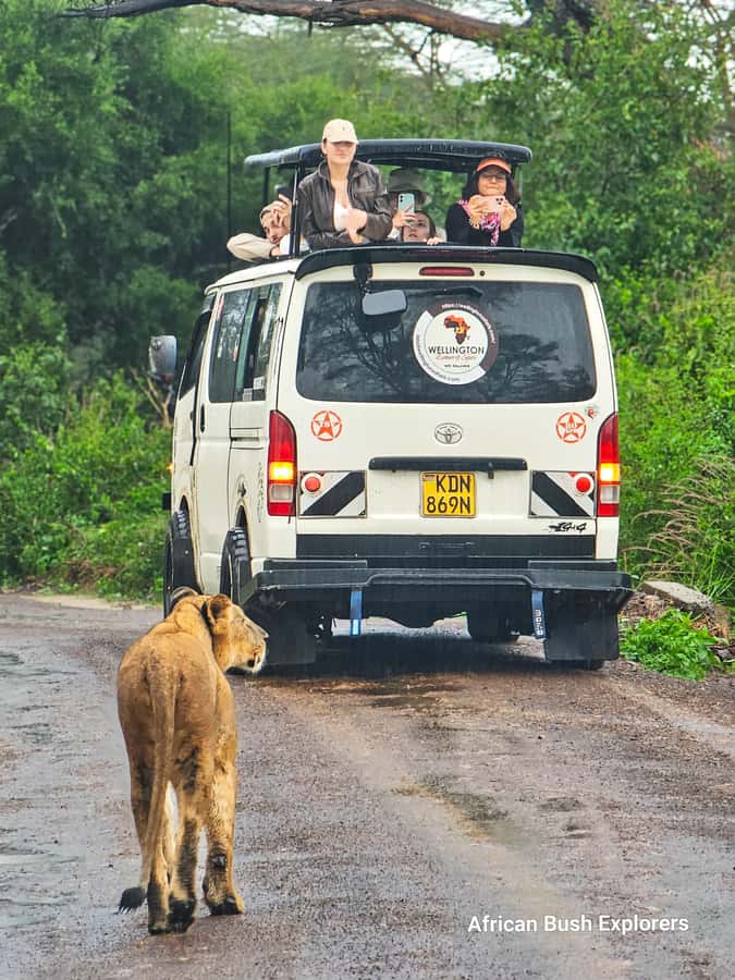 5-Hour Nairobi National Park 4x4 Safari with Free Pickup - Practical ways to get more from the drive