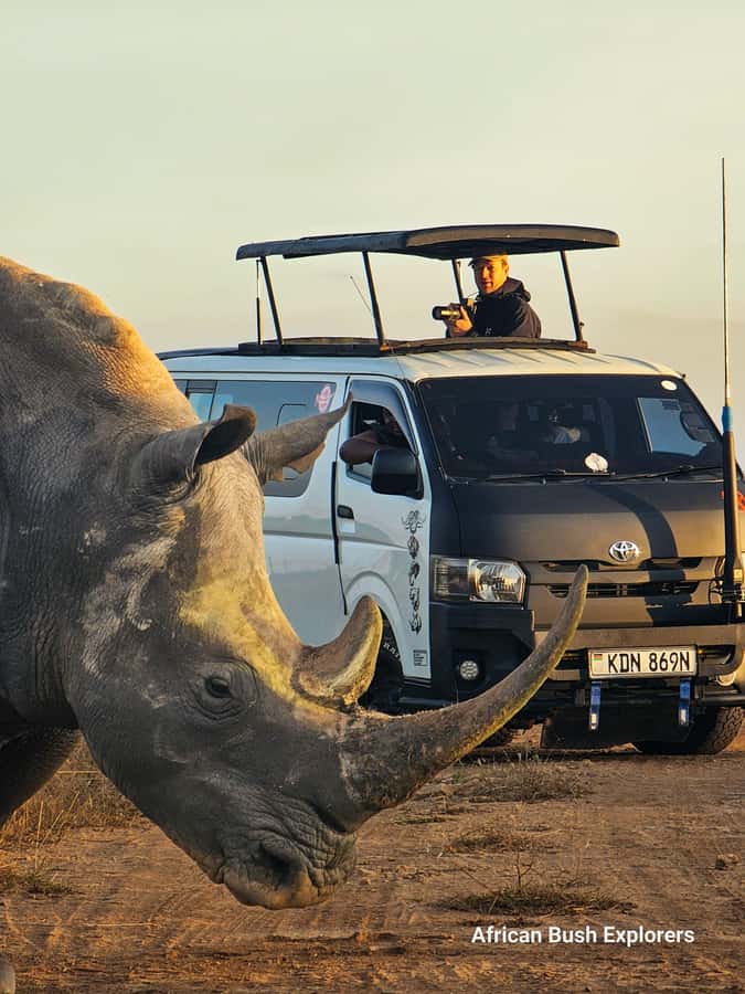 5-Hour Nairobi National Park 4x4 Safari with Free Pickup - What the five-hour outing includes