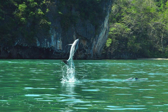 5 Hours Sharing Basis Kilim Mangrove Safari Boat Tour in Langkawi - Monkey watching calls for restraint
