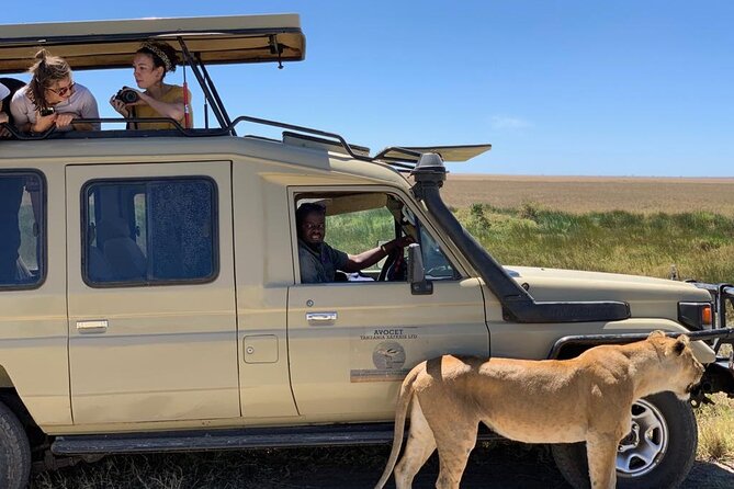 6 Day Group Camping Safari Tarangire Serengeti Ngorongoro Manyara - Day 4: leaving Serengeti for the crater rim