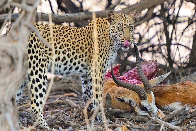 6 Day Group Camping Safari Tarangire Serengeti Ngorongoro Manyara - Day 5: inside Ngorongoro Crater