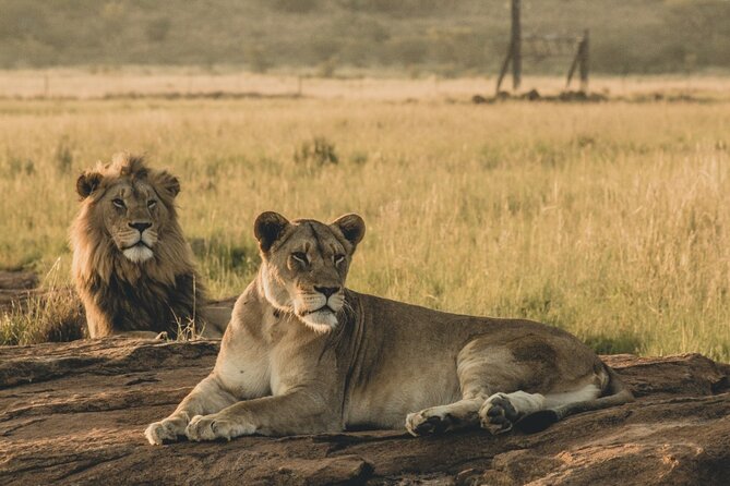 6 Day Group Camping Safari Tarangire Serengeti Ngorongoro Manyara - What to pack and how to prepare