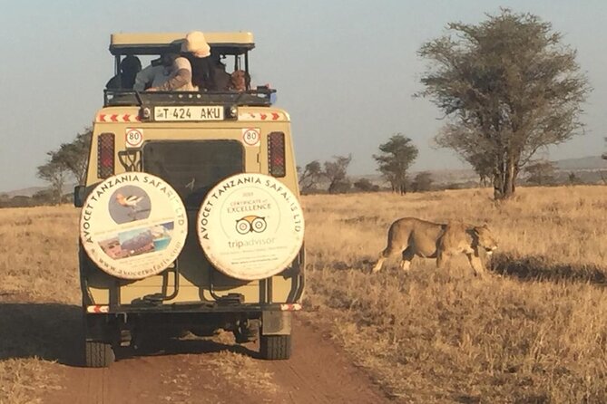 6 Day Group Camping Safari Tarangire Serengeti Ngorongoro Manyara - Day 2: the long road into Serengeti