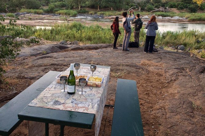 6 Day Lodge and Treehouse Kruger National Park Safari - Day 5: Your second full Kruger game-viewing day
