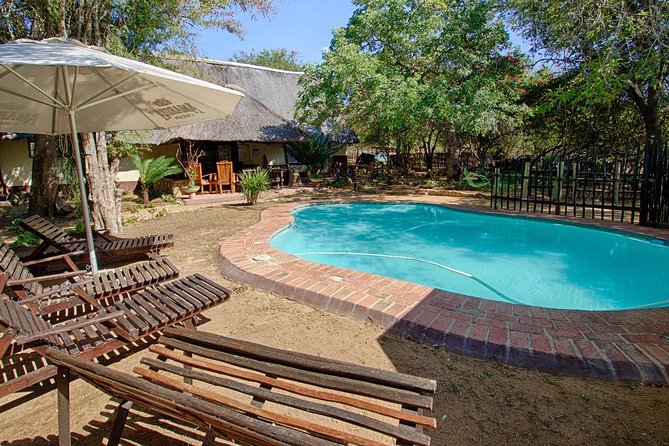 6 Day Lodge and Treehouse Kruger National Park Safari - Accommodation, food, and daily comfort