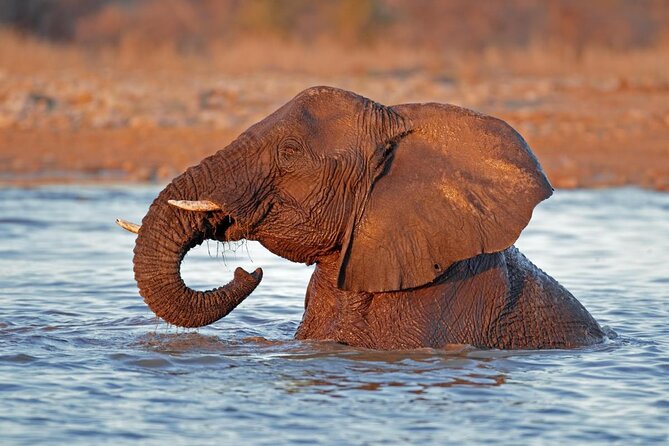 6 Day Sand, Sea & Etosha Budget Camping Safari - Key points to know before you book
