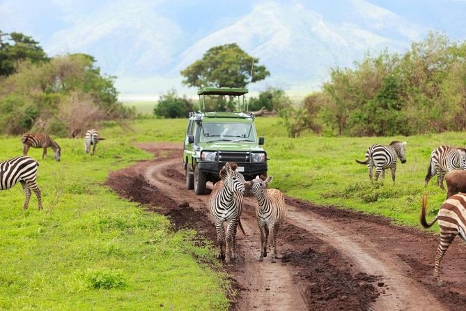6 Day Tanzania Wildlife Mid range Safari - Guides, food, and the small vehicle