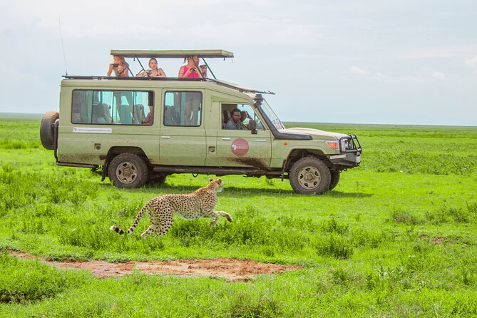 6 Day Tanzania Wildlife Mid range Safari - Day 1: Elephants and baobabs in Tarangire