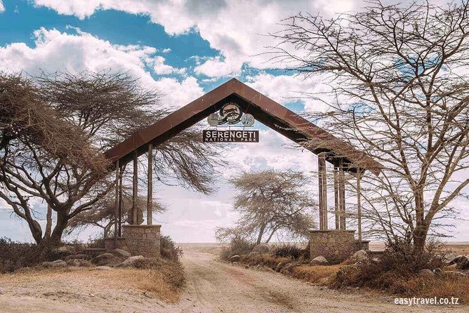6 days 5 nights safari Ngorongoro, Serengeti and Tarangire National Parks - Day 1: A simple arrival in Arusha