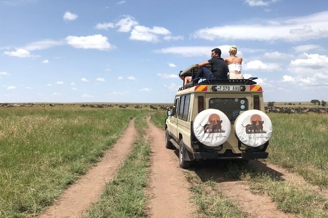 6 days 5 nights safari Ngorongoro, Serengeti and Tarangire National Parks - Day 4: Two Serengeti drives and the best predator hours