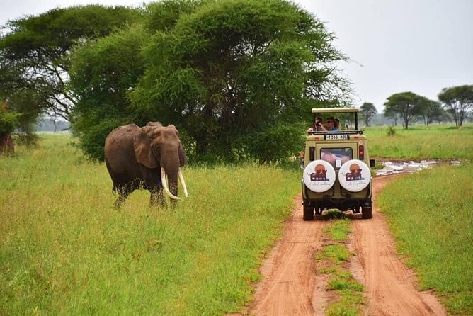 6 days 5 nights safari Ngorongoro, Serengeti and Tarangire National Parks - What the $2,560 price really buys you