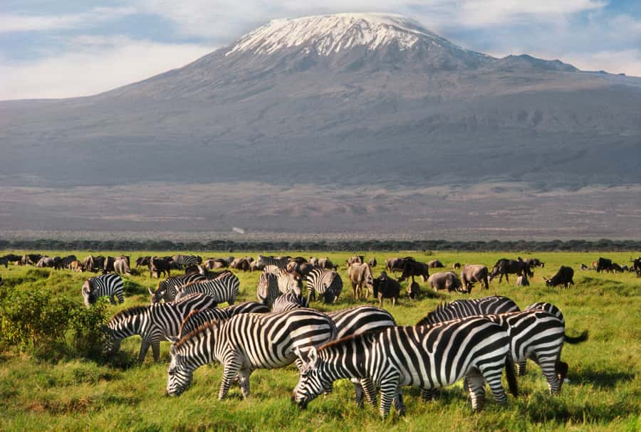6 Days Kenya Budget Safari - Meals and accommodation: comfortable, not fancy