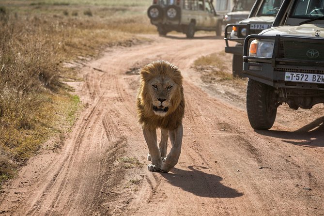 6 Days Private Budget Safari - Day 1: Tarangire elephants and giant baobabs