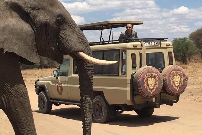 6 Days Private Budget Safari - Day 5: Down into Ngorongoro Crater