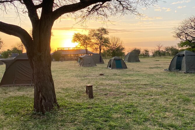 6 Days Private Budget Safari - Food, camps, and comfort on the road