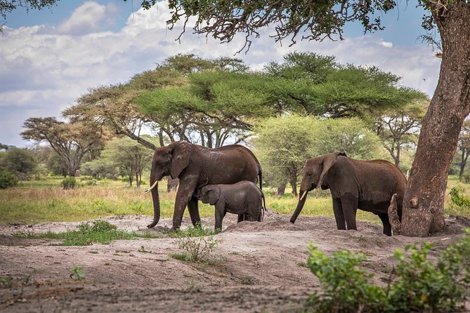 6 Days Private Budget Safari - Day 2: The rough road into the Serengeti