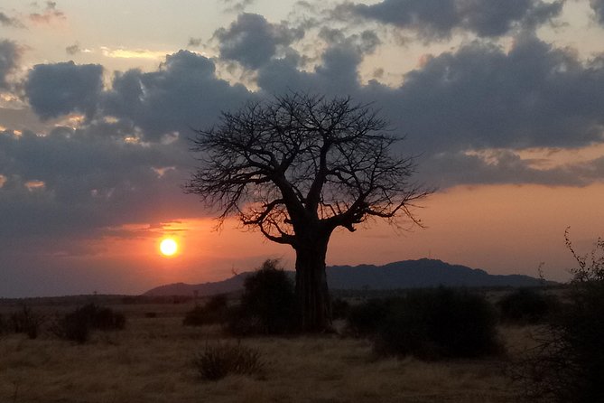 6 Days Safari to Udzungwa Mountain NP, Ruaha NP and Mikumi NP - Day 6: A final Mikumi game drive before Dar es Salaam