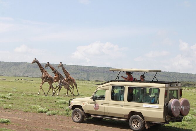 6 Days Serengeti Safari(hiking waterfalls &coffee tour) - Day 1: Tarangire and its big elephant herds