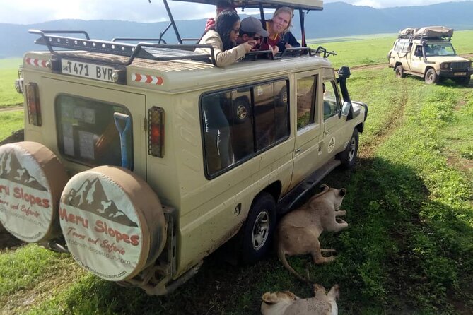 6 Days Tanzania Budget Camping Safari - Day 3: A full day among Serengeti wildlife