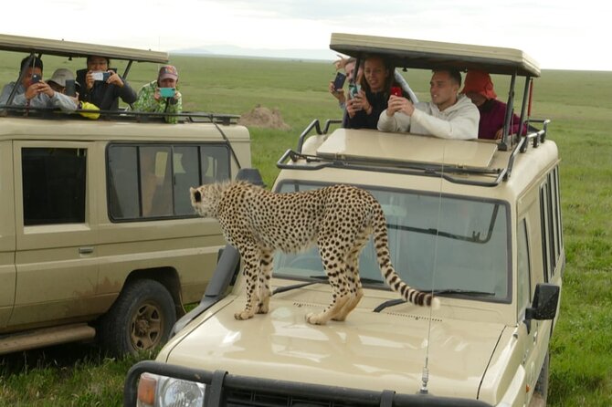 6 Days Tanzania Budget Camping Safari - Day 5: The Ngorongoro Crater and Mto wa Mbu