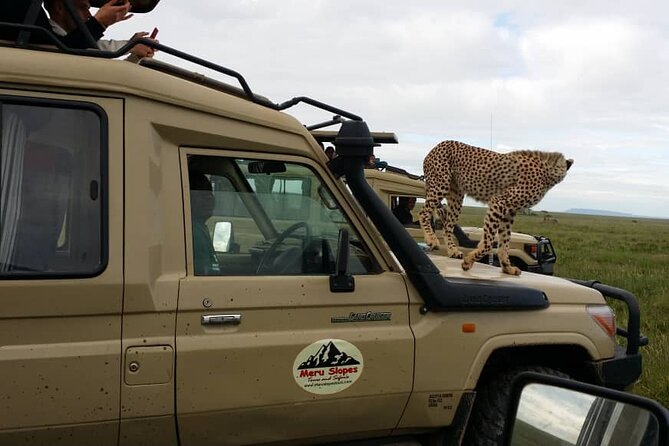 6 Days Tanzania Budget Camping Safari - Day 6: Lake Manyara, flamingos, and the return to Arusha