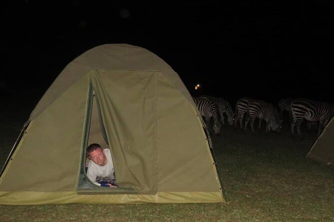 6 days Tanzania budget safari - Day five: Down into Ngorongoro Crater