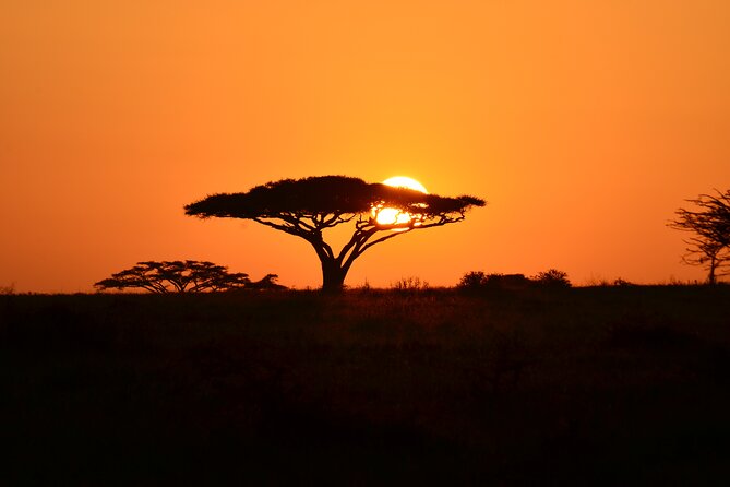 6 days Tanzania budget safari - Camping, meals, and daily comfort