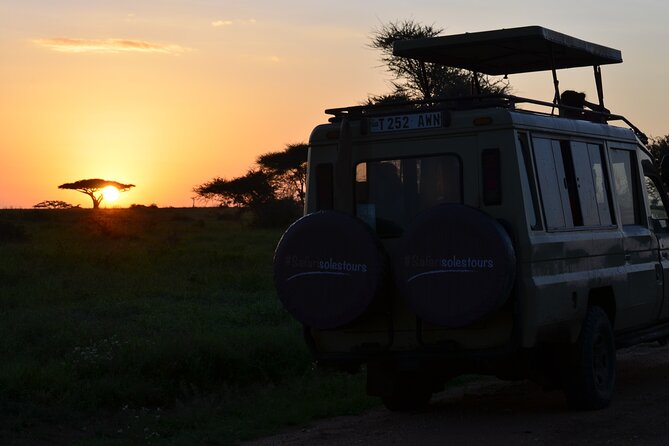 6 days Tanzania budget safari - Day one: Tarangire’s elephants and open country