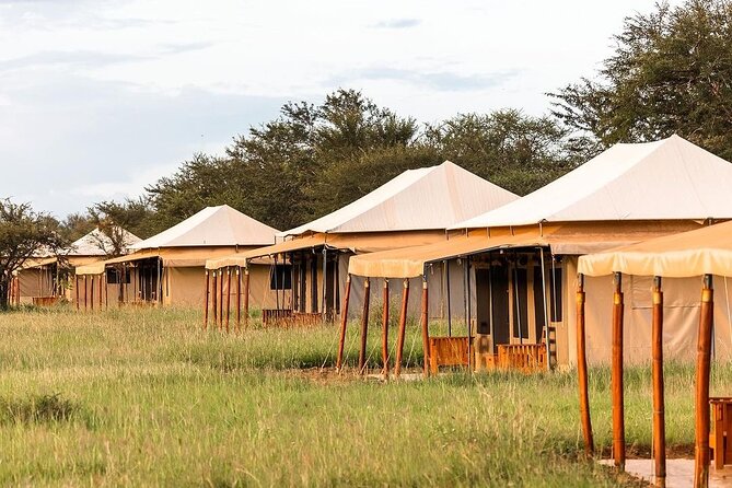 6-DayThe Best of Northern Tanzania Safari - Day 5: The Ngorongoro Crater game drive