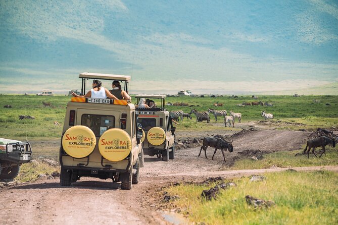 6-DayThe Best of Northern Tanzania Safari - Day 1: A useful arrival day in Arusha