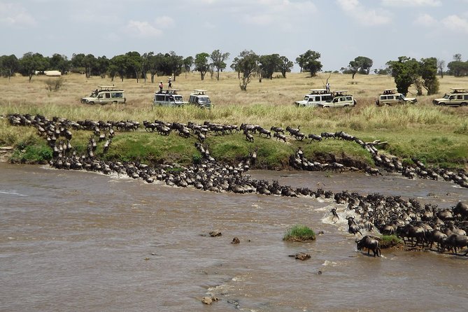 7-Day Great Migration Safari - Why this seven-day route works