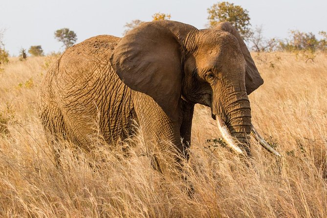 7-Day Great Migration Safari - Day 3: The long road to Seronera