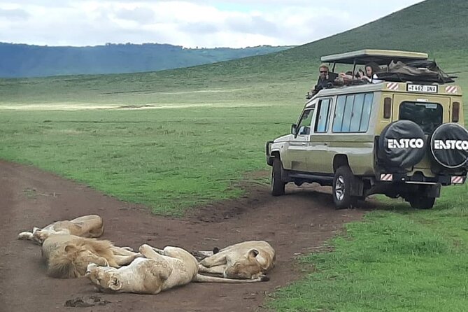 7-Day Great Migration Safari - Day 1: Tarangire’s elephant country