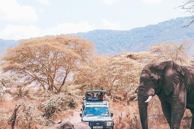 7 days great migration safari - Ngorongoro Crater offers concentrated wildlife viewing