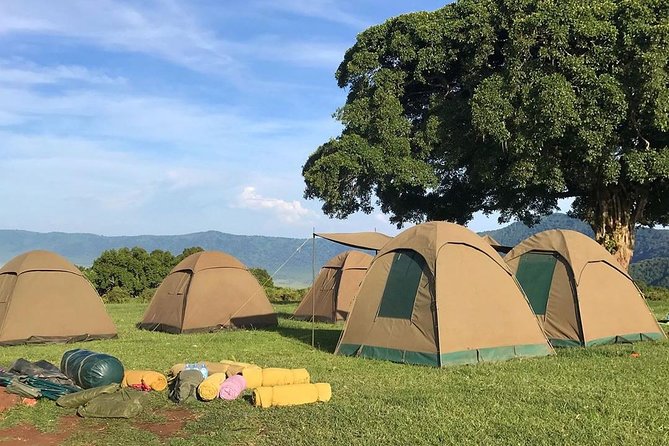 7 days great migration safari - What the $4,514 price includes