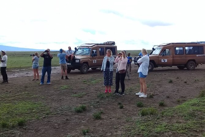 7 Days Tanzania Mid-range lodge safari - Serengeti nights bring the strongest sense of place