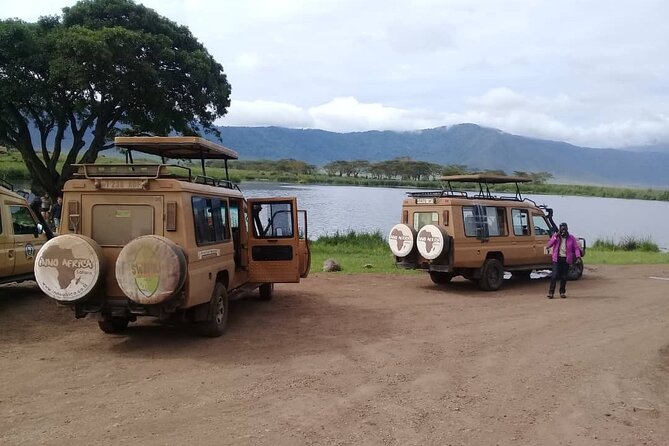 7 Days Tanzania Mid-range lodge safari - What the $3,300 price means in practice
