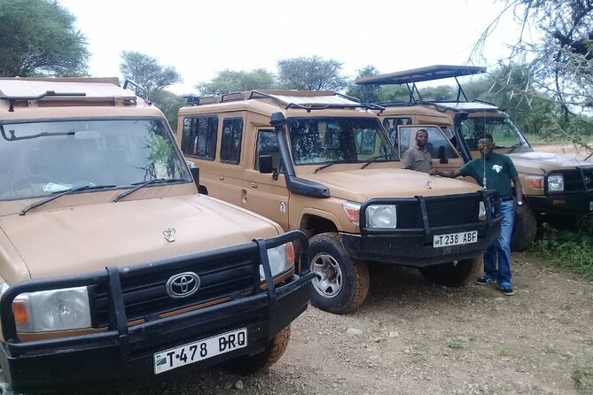 7 Days Tanzania Mid-range lodge safari - Your second Manyara day gives you a useful choice
