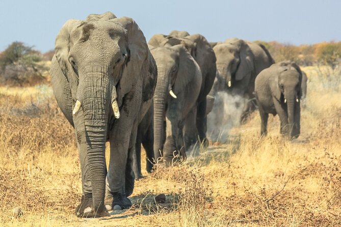 8 Day Safari The Best of Tanzania & Lake Eyasi - Day 1: Arrive in Arusha and take it easy