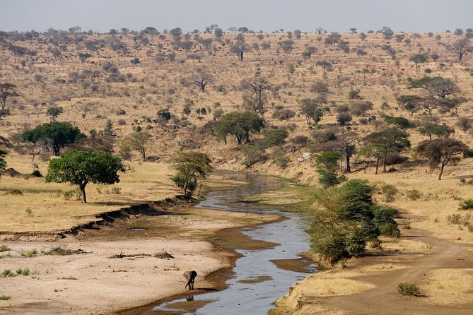 8 Days 7 Nights Tanzania Wildlife & Culture Lodge Safari - Day 7: Lake Eyasi and the trip’s cultural side