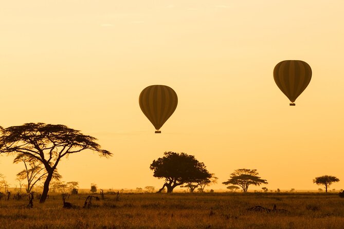 8 Days Green Season Offer - Luxury Serena Safari - Day 1: A calm start in Arusha