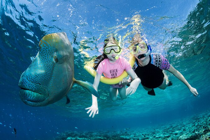 ABC Reef Safaris - Why the small boat matters on the outer reef