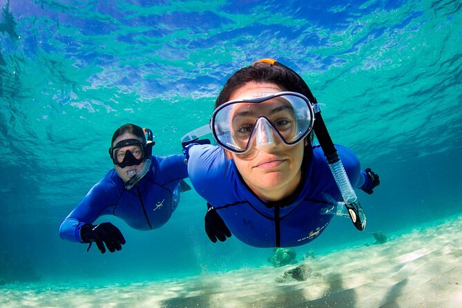 ABC Reef Safaris - Who will get the most from this reef safari